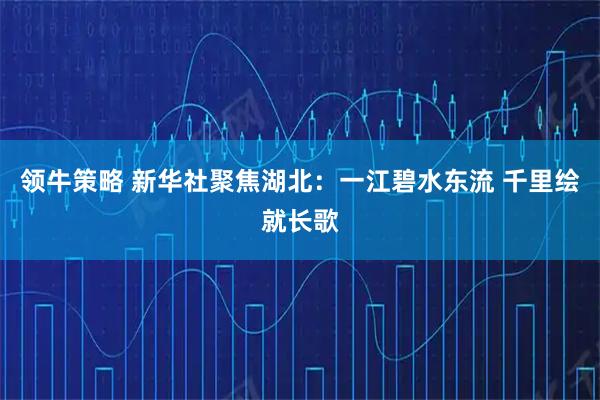 领牛策略 新华社聚焦湖北：一江碧水东流 千里绘就长歌